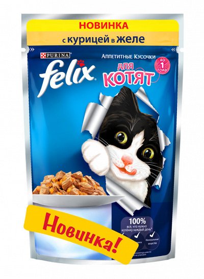 Все необходимое для любимых питомцев — очень много новинок — Корма Felix, Gourmet, Sheba для кошек