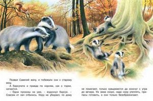 НЕПОСЛУШНЫЕ БАРСУЧАТА