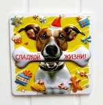 Магнит на холодильник 3D символ наступающего года