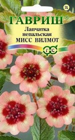 Лапчатка непальская Мисс Вильмот* 0,02 г
