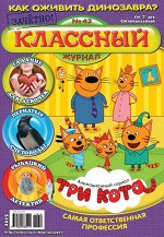 печатное издание