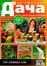 печатное издание