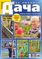 печатное издание