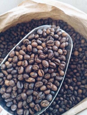 кофе culi вьетнам. вьетнам робуста. кофе кули. вьетнамский кофе в зернах робуста кули. кофейное дерево робуста вьетнам.