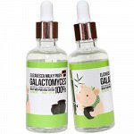 ELIZAVECCA Сыворотка со 100% экстрактом галактомисиса Galactomyces Ferment Filtrate 100%