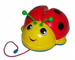 Божья коровка (в сеточке)