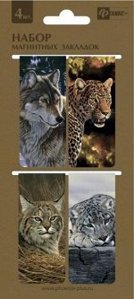 Закладки магнитные д/книг (4 шт)