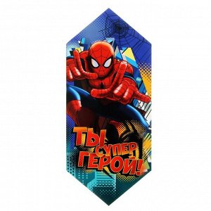Сборная коробка-конфета "Ты супер герой", 14 х 22 см