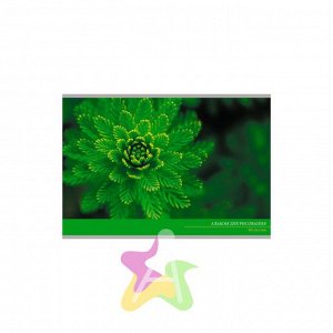 Альбом для рисования 40 листов "Зеленый мир (скрепка)" АЛ401474