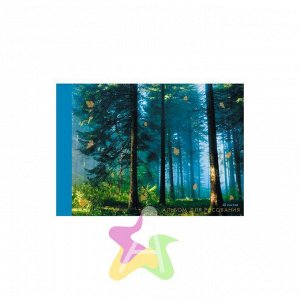 Альбом для рисования 40 листов "Магия леса (склейка)" АФ401592