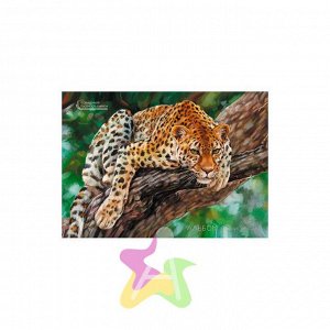 Альбом для рисования 40 листов "Леопард на дереве (живопись) (гребень, 40л.)" АСЛ401522