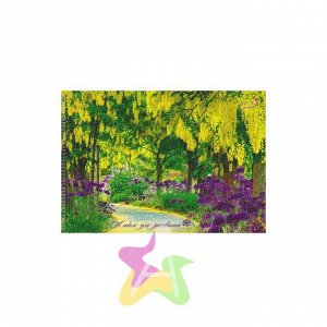 Альбом для рисования 40 листов "Чудесный парк" АСБ401395