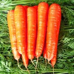 Морковь Карамель красная