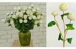 Ранункулюс мини