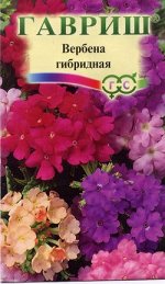 Вербена Романс*, гибридная смесь 0,1 г