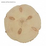 Спил сосны, шлифованный с одной стороны, диаметр 25-30 см, толщина 2-3 см