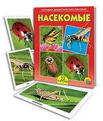 Насекомые