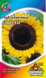 Подсолнечник Енисей 5 г ХИТ х3