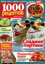печатное издание
