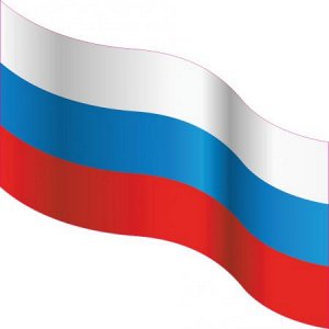 Флаг России 11