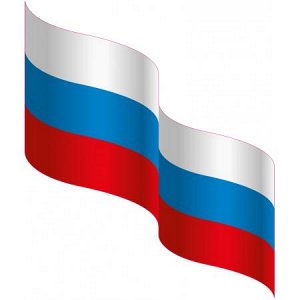 Флаг России 5