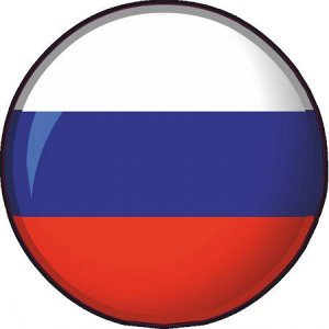 Флаг РФ Размеры и цвета наклеек могут быть разными, уточняйте у организатора.