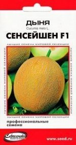 Дыня