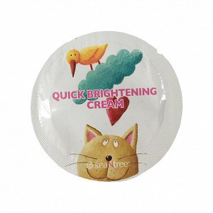 SEANTREE Осветляющий крем (пробник) Quick Brightening Cream Moisture