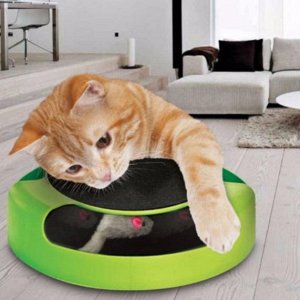 Интерактивная игрушка для кошек "ПОЙМАЙ МЫШКУ"