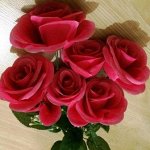 ветка розы