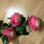 ветка розы