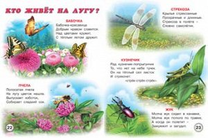 Родная природа