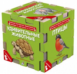 Книжный конструктор