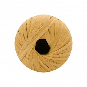 Пряжа Raffia 40гр (переработанные листья пальмы), 90м цвет 116-22 песочный