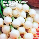 Лук репчатый Кентавр (на перо и репку)