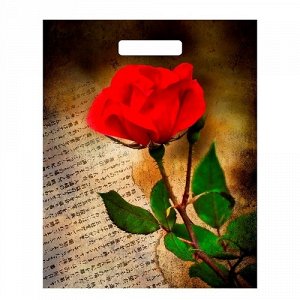 206593--Пакет полиэтиленовый "Китайская роза" 45*38 см. с вырубной ручкой