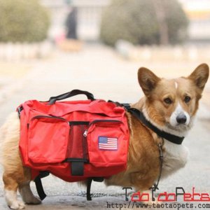 Походная сумка-рюкзачок для собаки