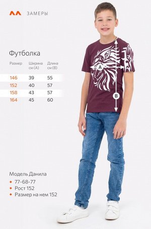 Футболка для мальчика Happyfox