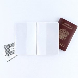 Обложка для паспорта "Самолёт", ПВХ, цвет нежно-бирюзовый