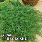 Укроп Грибовский высокор, раннеспелый 3гр Гавриш/БП