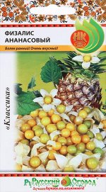 Физалис Ананасовый раннеспелый, желтый 20шт НК/ЦВ