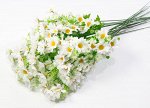 Ветка ромашек &quot;Ирида&quot; 7 цветков