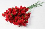 Ветка гвоздик 18 цветков