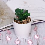 Цветок искусственный &quot;Суккулент&quot; 6*6*12см в пластиковом горшке 1/2