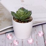 Цветок искусственный &quot;Суккулент&quot; 6*6*12см в пластиковом горшке 1/3
