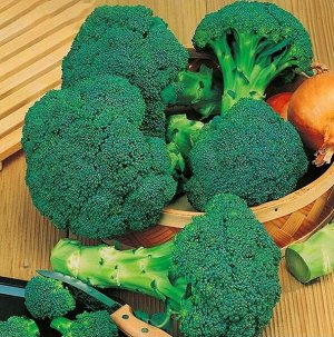 Капуста брокколи Фабрика здоровья