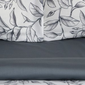 Постельное бельё Этель евро Magnolia, 200 х217 см, 220х240 см, 50х70 см -2 шт, мако-сатин 114г/м2
