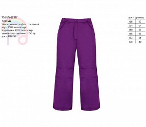 Теплые штаны для девочки фиолетовый,рост 128-158 Цвет: фиоле