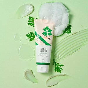 Успокаивающая пенка для умывания с полынью Round Lab Mugwort Calming Cleanser