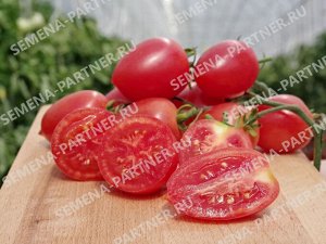 Томат Агроденс F1 / Гибриды томата с розовыми плодами